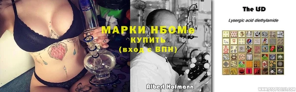 хмурый Нефтекумск