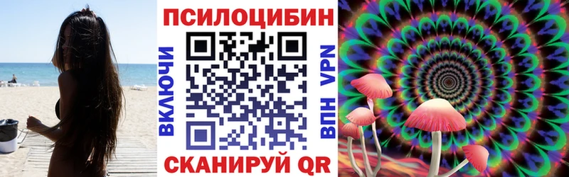Купить закладки  Курск  Псилоцибиновые грибы прущие грибы 